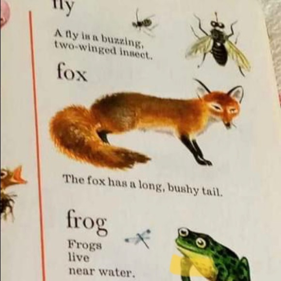 Meet your Posher, Jody - Picture 1 of 1